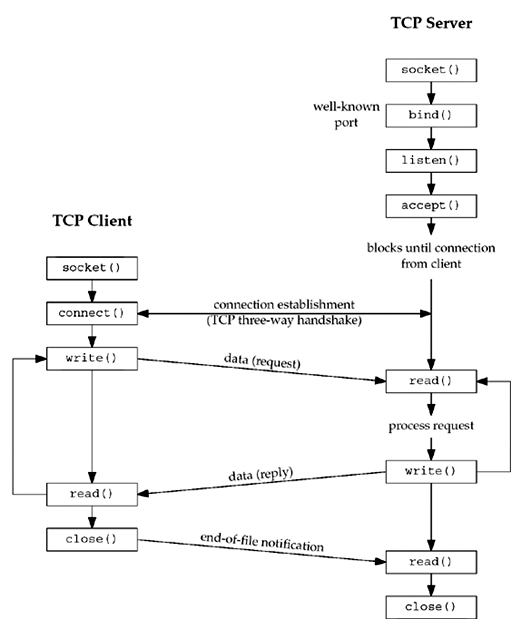 Tcp server bind error • Art-i-shoc.ru